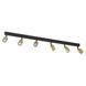 Фото Спот TK-Lighting top 6 Золотой 1022 1022, вид 1,