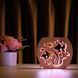 Фото Светильник ночник ArtEco Light с дерева LED "Аквариум" с пультом и регулировкой цвета, двойной RGB 1020460, вид 7,