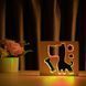 Фото Светильник ночник ArtEco Light с дерева LED "Пес и косточка" с пультом и регулировкой цвета, двойной RGB 1020372, вид 3,