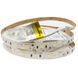 Фото LED лента RISHANG 60-2835-12V-IP33 12W 1000Lm 4000K 5м (RD0060TA-A-NW) 670, вид 1,