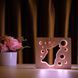 Фото Светильник ночник ArtEco Light с дерева LED "Волк и луна" с пультом и регулировкой цвета, двойной RGB 1020408, вид 8,