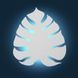 Фото Бра TK-Lighting monstera 1354 1354, вид 4,