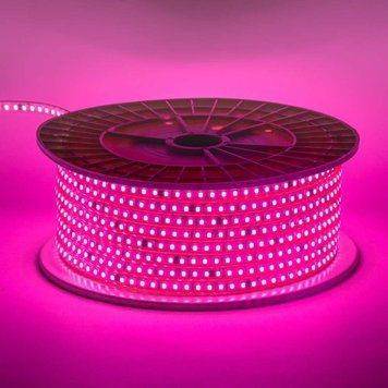 Фото Світлодіодна стрічка рожева 220V герметична AVT smd2835 120LED/м 9Вт/м IP65 11х5.5mm 1022494,