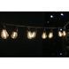 Фото Светодиодная ретро-гирлянда лампочки Lumion Filament Bulb String 10 ламп S14 черный/белый теплый 2м 10060-NN, вид 2,