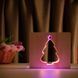 Фото Світильник нічник ArtEco Light з дерева LED "Ялинка засніжена" з пультом та регулюванням кольору, подвійний RGB 1021470, вид 6,